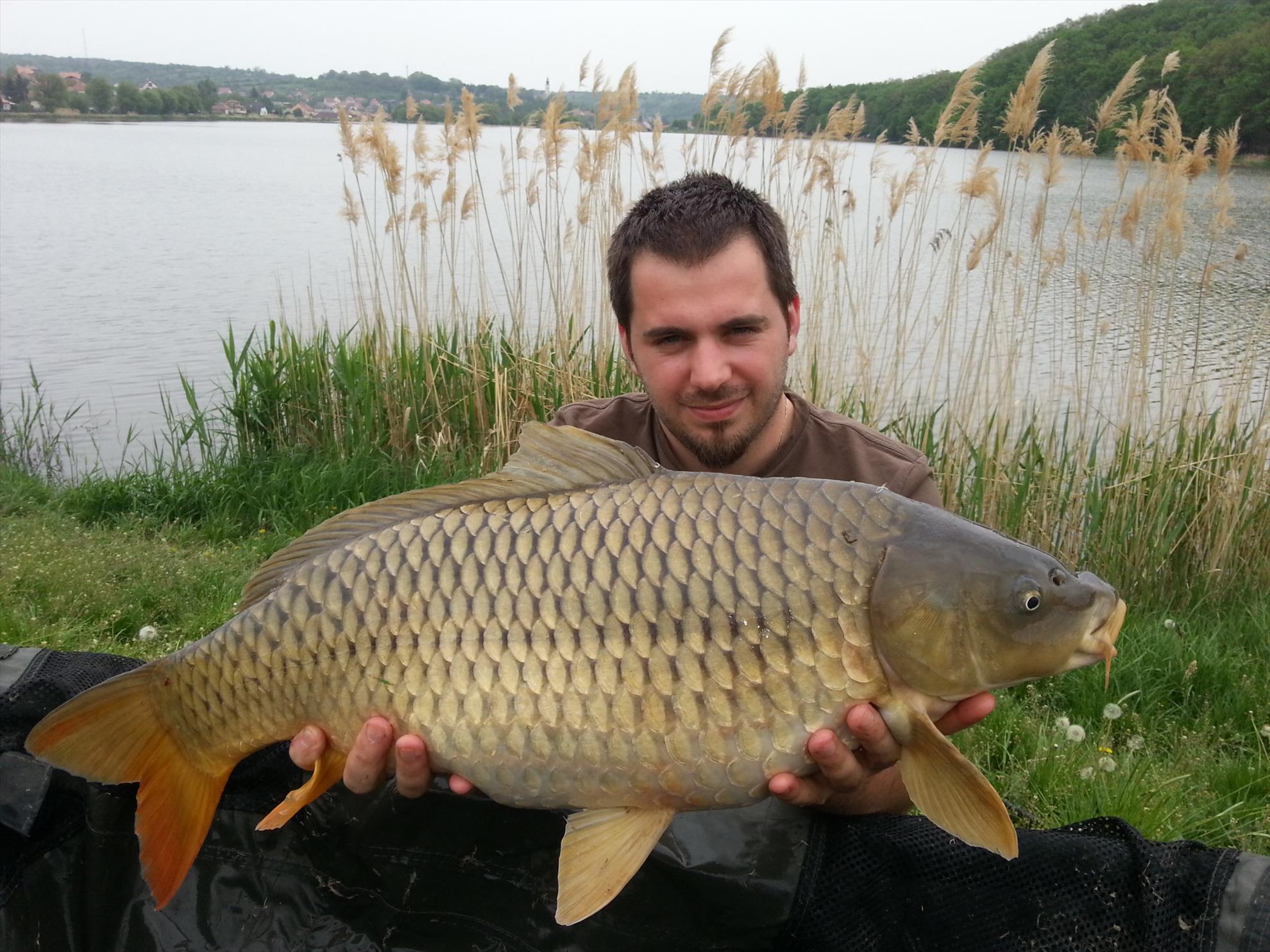 Harsany 1 - 5 mai. - 20130502121740.jpg